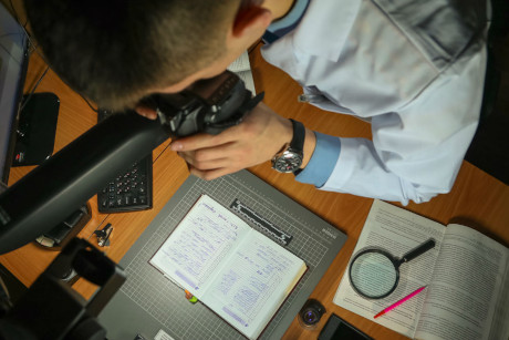 Экспертиза документов